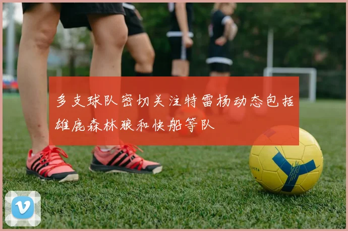 多支球队密切关注特雷杨动态包括雄鹿森林狼和快船等队